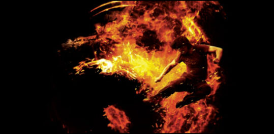 Man Of Tai Chi