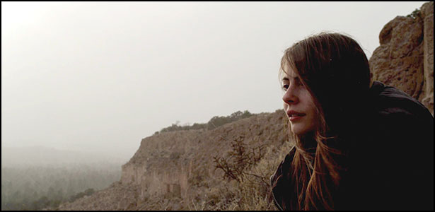 Tiger Eyes - Lawrence Blume