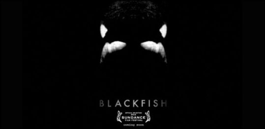 Trailer του Ντοκυμαντέρ "Blackfish"