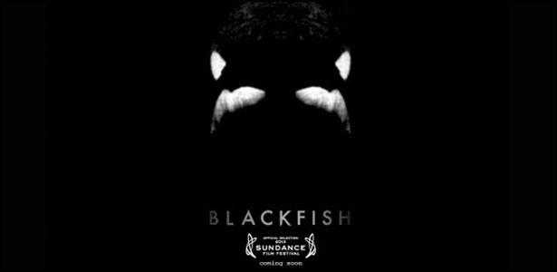 Trailer του Ντοκυμαντέρ "Blackfish"
