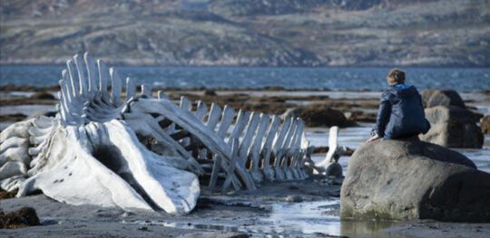 Πρώτο Trailer Απο Το Δραματικό "Leviathan"