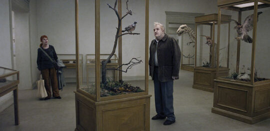 Trailer Απο Το “A Pigeon Sat On A Branch Reflecting On Existence” "A Pigeon Sat On A Branch Reflecting On Existence"