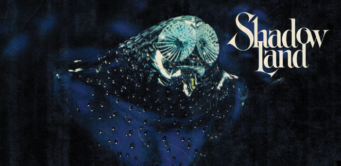 Το NBC Ετοιμάζει Το "Shadowland"