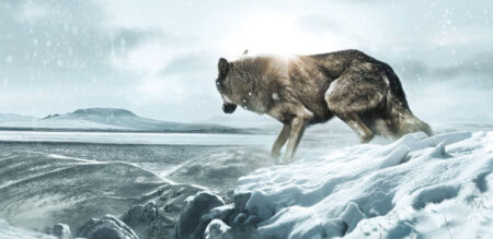 Πρώτο Trailer Απο Το “Wolf Totem” Πρώτο Trailer Απο Το "Wolf Totem"