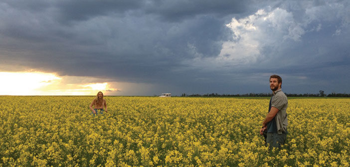 Πρώτο Trailer Απο Το "Cut Bank"