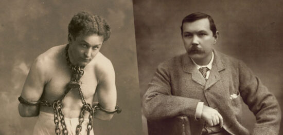 Houdini-and-Doyle-fox