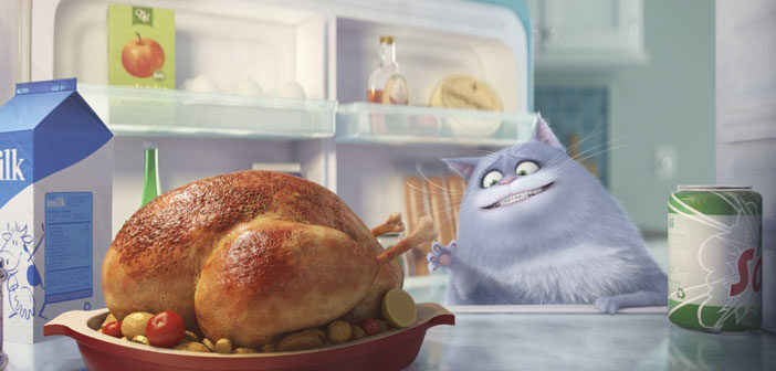 Πρώτο Trailer Απο Το “The Secret Life of Pets” Πρώτο Trailer Απο Το "The Secret Life of Pets"