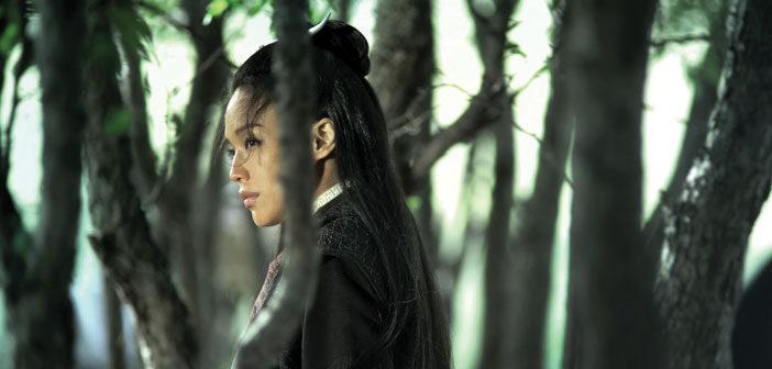 Νέο Εντυπωσιακό Trailer Απο Το "The Assassin"