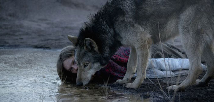 Πρώτο Trailer Απο Το “Wild” Πρώτο Trailer Απο Το "Wild"