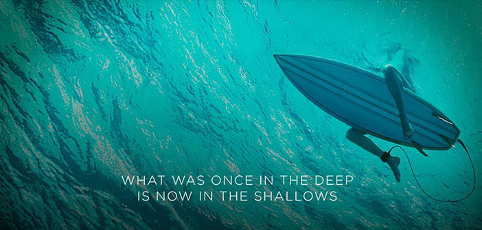 "The Shallows"