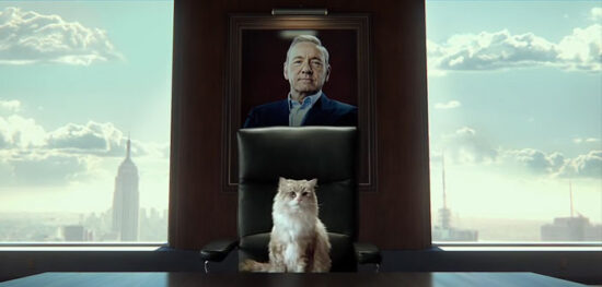 “Nine Lives” "Nine Lives"