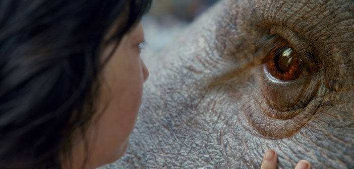 Νέο Trailer Απο Το "Okja"