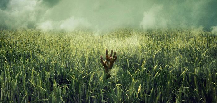 Το Netflix Παρήγγειλε Το "In the Tall Grass"