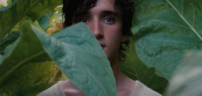 Trailer Απο Το "Happy as Lazzaro"
