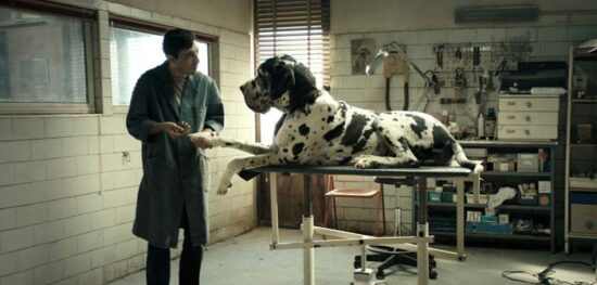 Trailer Απο Το "Dogman"