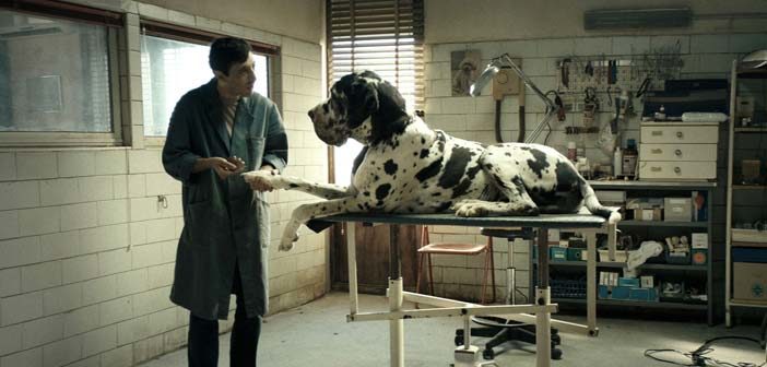 Trailer Απο Το "Dogman"