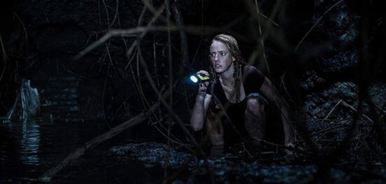 “Crawl” "Crawl"