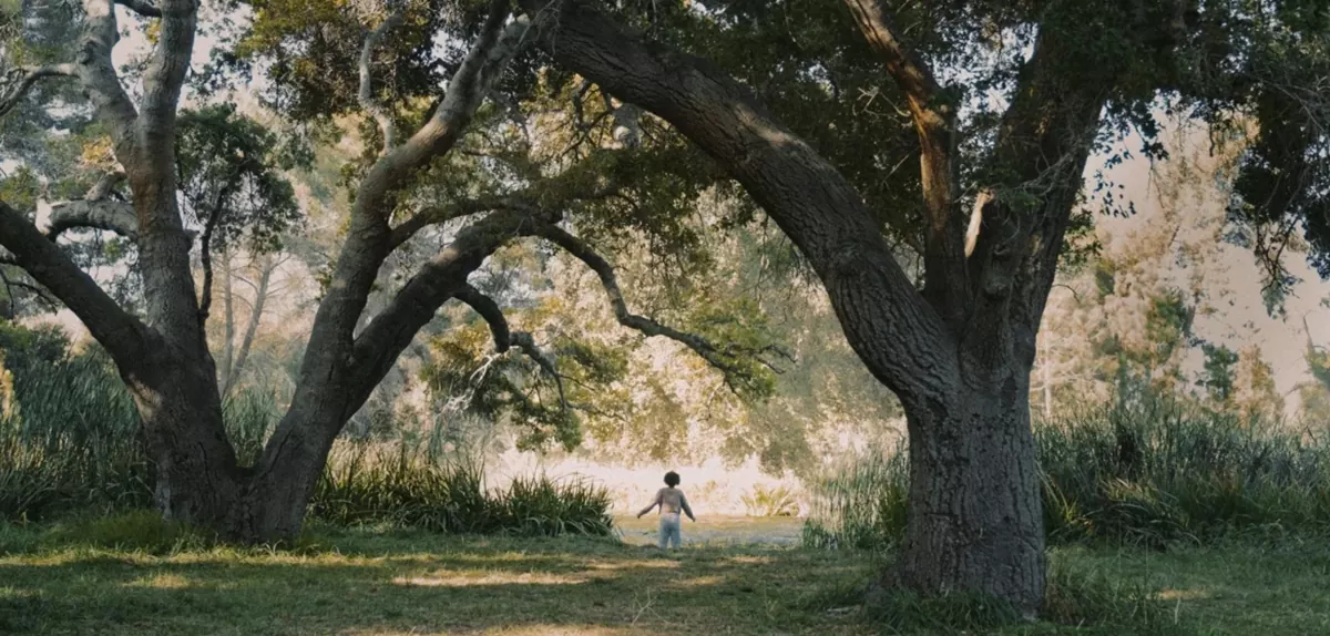 Trailer Από Την Νέα Μίνι Σειρά "Kindred"