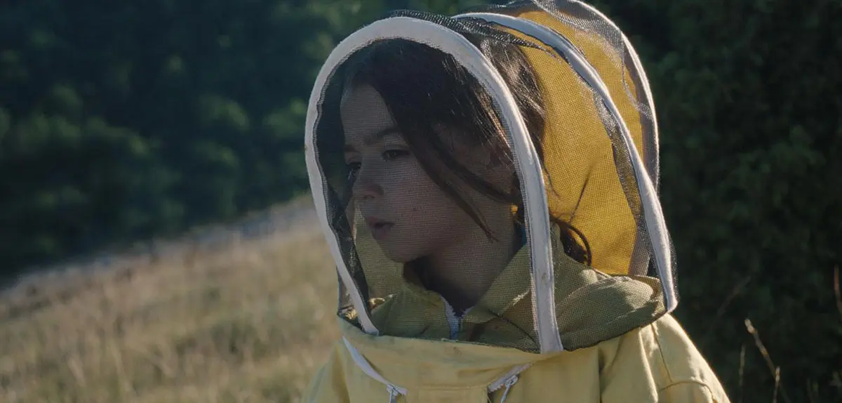 "20,000 Species of Bees"