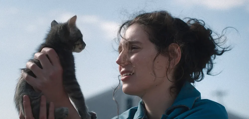 Trailer Από Το Ανεξάρτητο Δράμα "Sorry Baby"