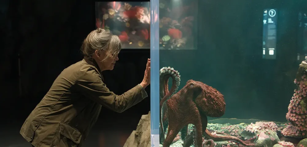 "Remarkably Bright Creatures"